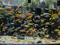 -太平洋海底世界