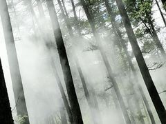 -洛阳白云山景区