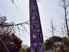 -上海佘山国家森林公园天马山园