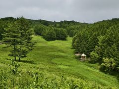 -驼梁风景区