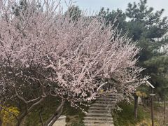 -团结湖公园