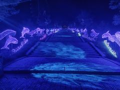 -山西乌金山旅游区