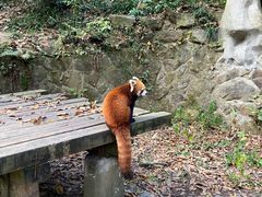 -杭州少年儿童公园