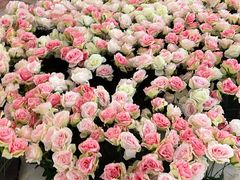 -重庆北碚万达广场