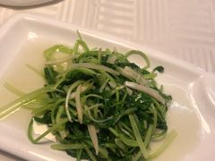 笋丝鸡毛菜-上海年代·浙菜家烧·小海鲜(水上东路店)