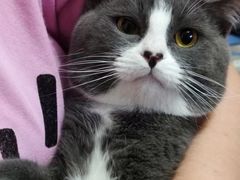 -瑞派天宁宠物医院·猫科·异宠中心