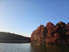 -尚湖风景区