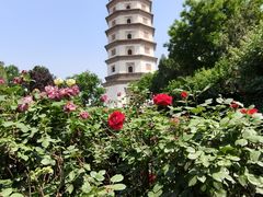 -开元寺塔