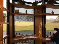 -昆山城市生态森林公园