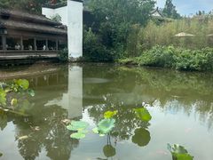 -绿茶餐厅(龙井船宴· 品牌总店)