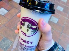 -一只酸奶牛(八一路店)