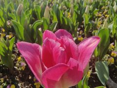 -宁波儿童公园(鄞州区)