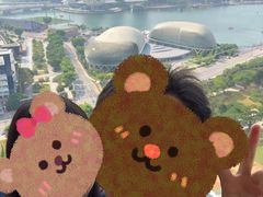 -新加坡瑞士史丹福酒店