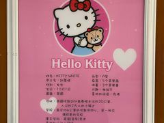 -安吉Hello Kitty乐园