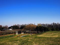 -嘉兴清池酒店温泉