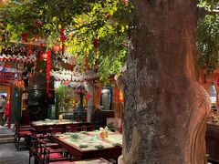 -情满四合院•京菜•烤鸭(动物园店)