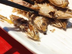 -驻海渔市(置信店)