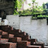 爬梯椰是一家很山城的甜品店