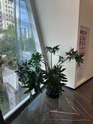 -Bridal Queen·婚纱女皇