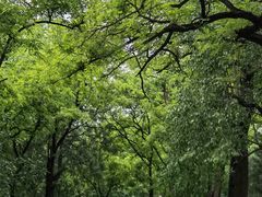 -阳台山自然风景区