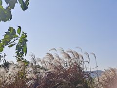 -长兴太湖图影湿地文化园
