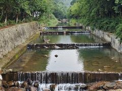 -广州白江湖森林公园