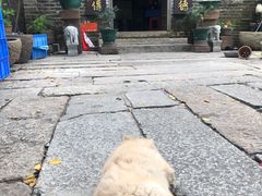 -烟桥私房菜馆(奋哥)