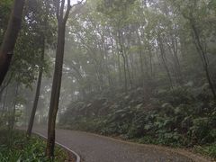 -广州市帽峰山景区
