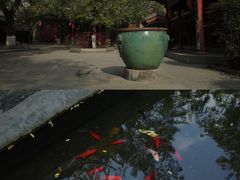 -关中书院