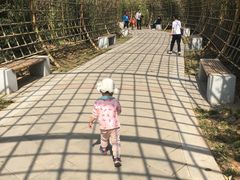 -济南植物园