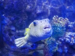 -太平洋海底世界