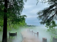 -东湖落雁景区