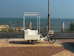 -致璞ZHIPU Rolling on(青岛极地店)