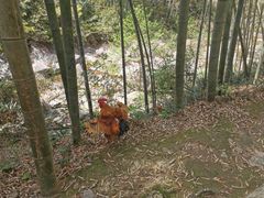 -山沟沟景区