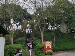 -国恩寺
