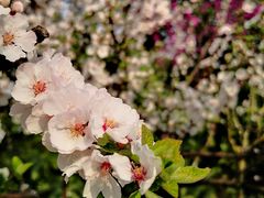 -杭州城北体育公园