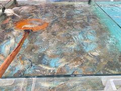 -马王堆海鲜水产市场