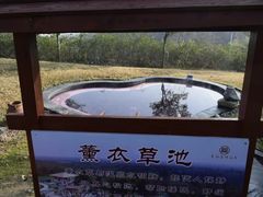 -东海森林温泉度假酒店