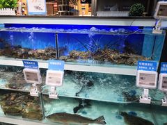 -盒马X会员店(王府井奥莱UP TOWN店)