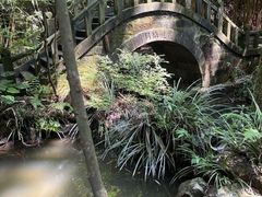 -南山植物园
