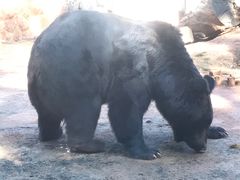 -昆明动物园