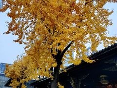 -古大圣慈寺
