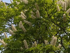 -北京植物园-展览温室