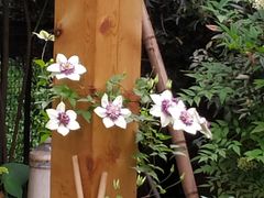 -德兴馆(山西南路店)