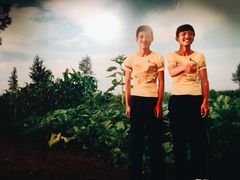 -chi K11艺术空间展览厅