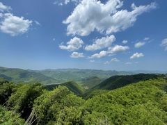 -莫干山风景区
