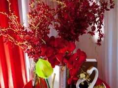 -小厨娘淮扬菜(板桥一店)