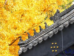 -北京国子监胡同