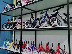 -长春乐奇平衡车儿童体能运动中心