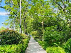 -西溪国家湿地公园